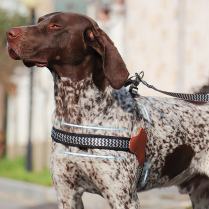 Y-Shaped Adjustable Harness for Dogs