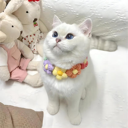 Cat Knitted Collar