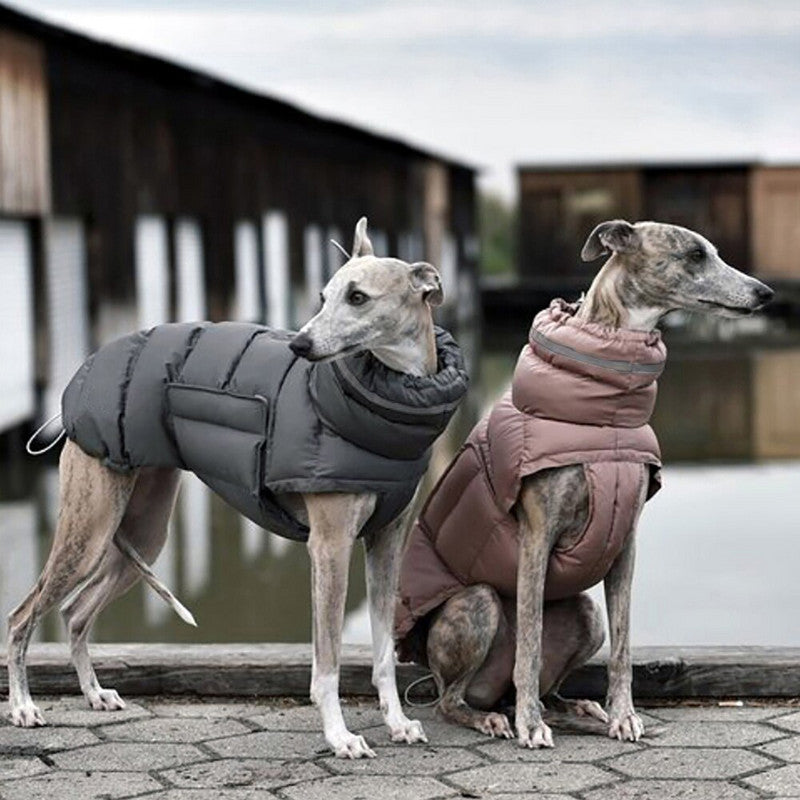 Waterproof Thick Pet Dog Down Jacket