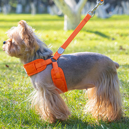 Comfy Y-Shaped Harness for Small Pets