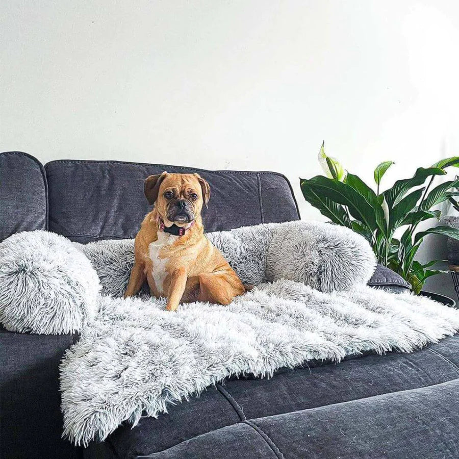 Calming Furniture Protector for Dogs
