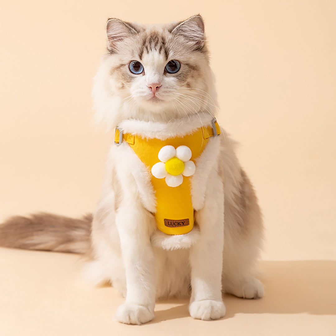 Cute Warm Harness for Small Dog and Cat