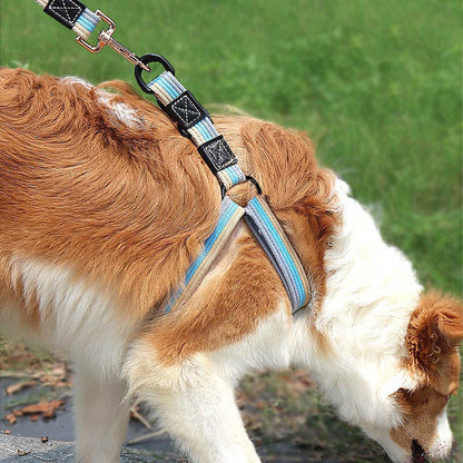 Y-Shaped Step-in Dog Harness