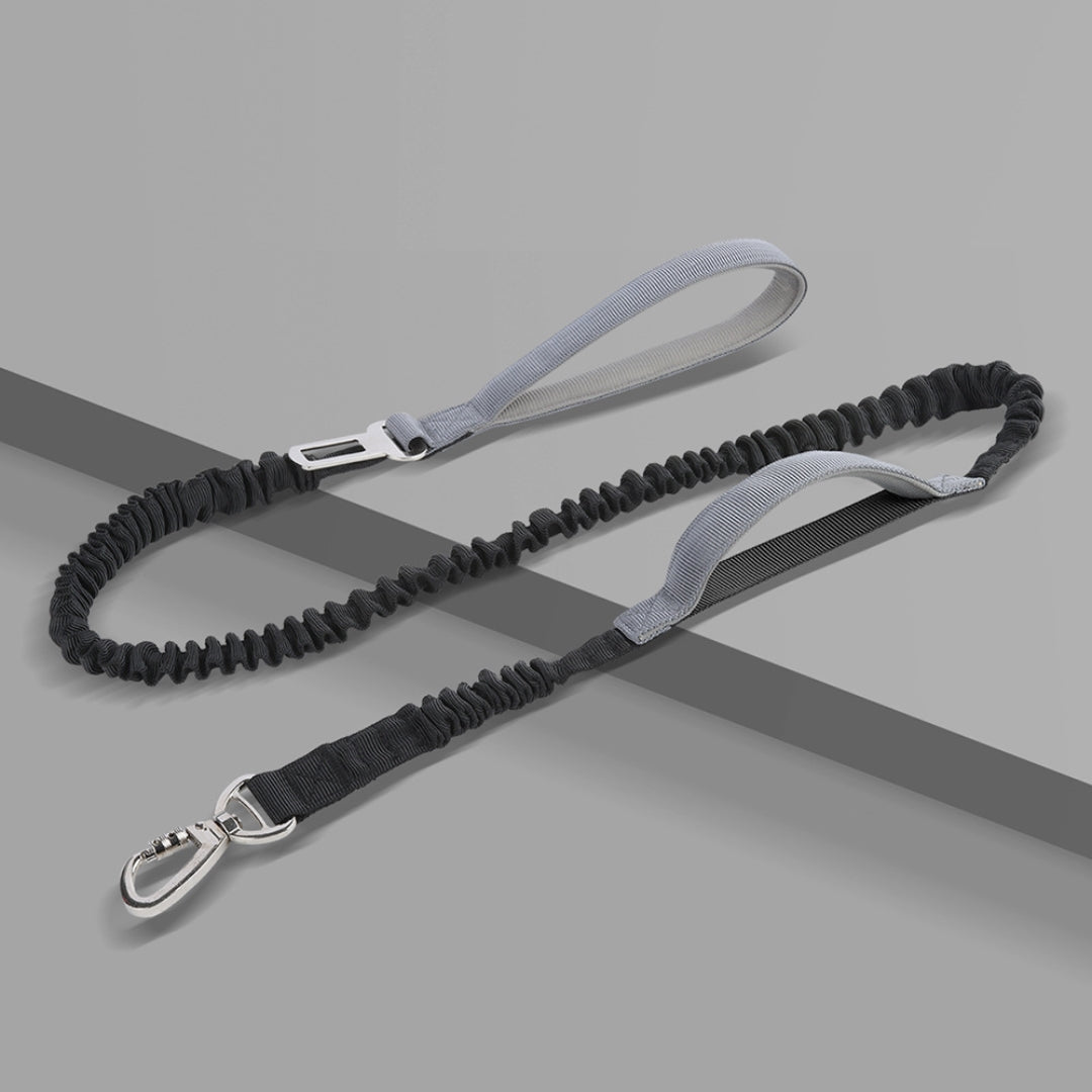 Elastic Durable Dog Leash