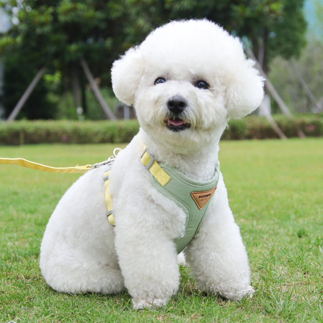 Comfy Lightweight Dog Harness