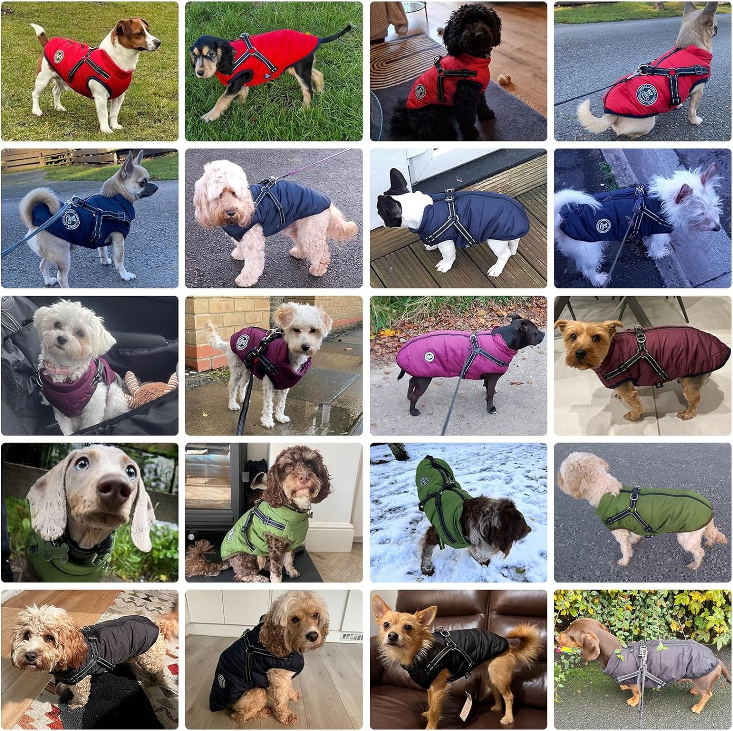 Winter Warm Waterproof Dog Costume