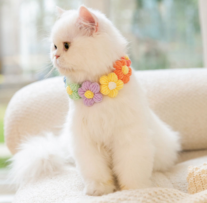 Cat Knitted Collar