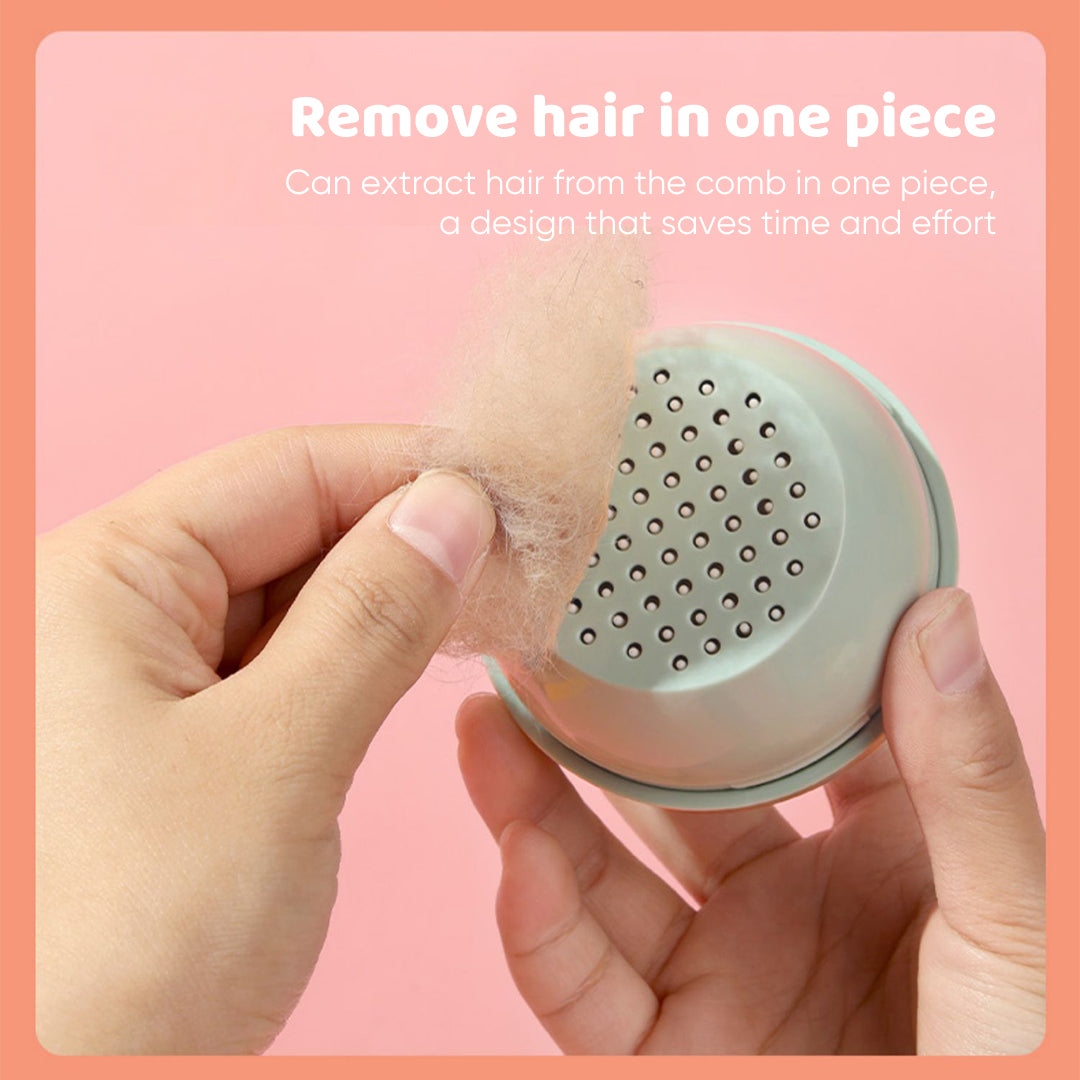 Cat Grooming Hairbrush