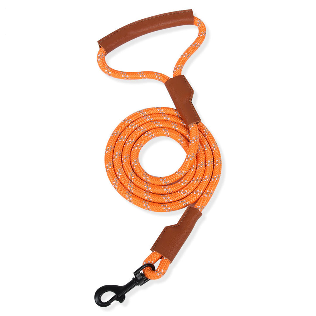 Durable Reflective Leather Leash