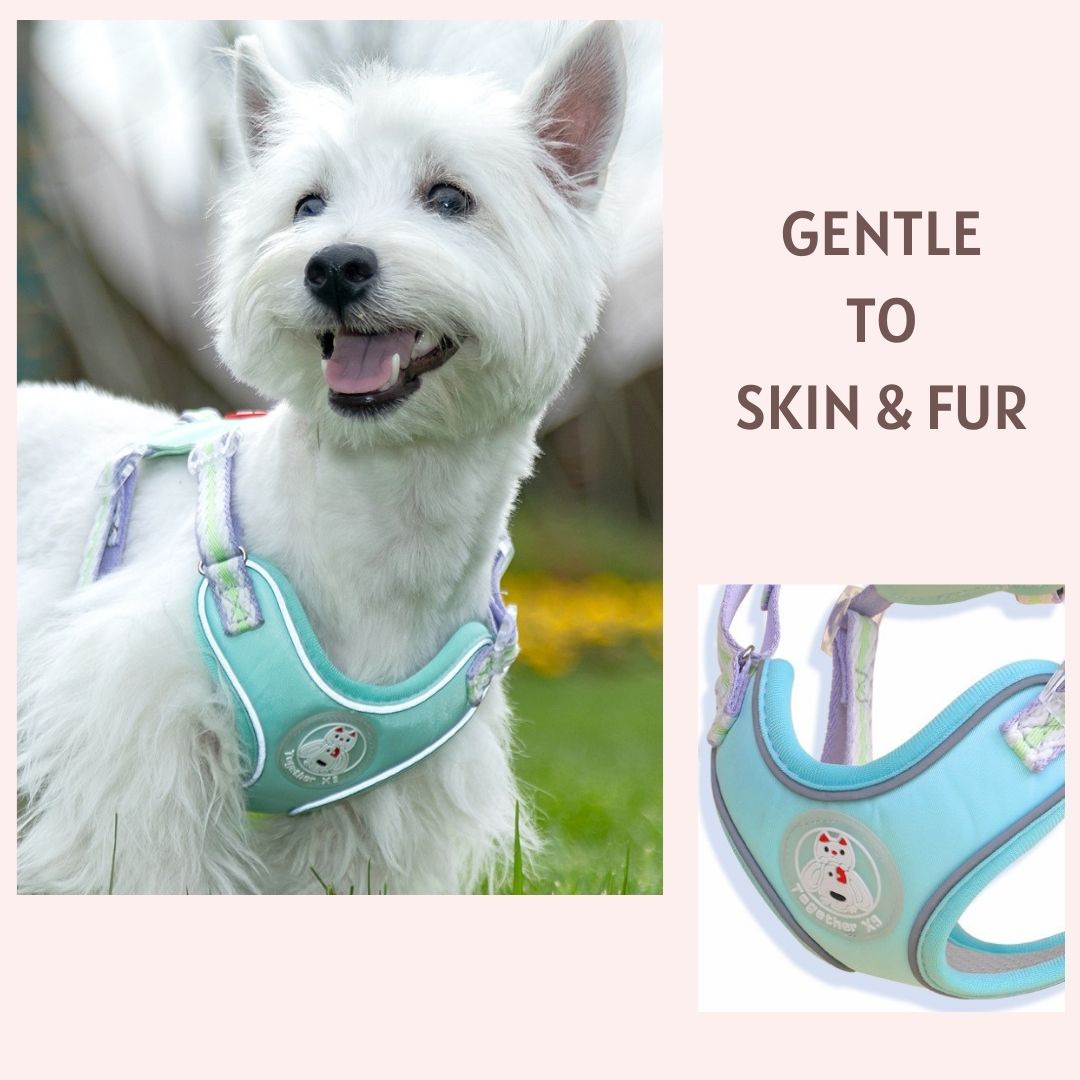 X-Shaped Cute Comfy Harness