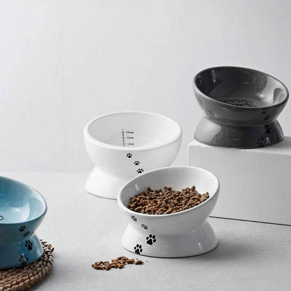 Ceramic Elevated Cat Food Bowl