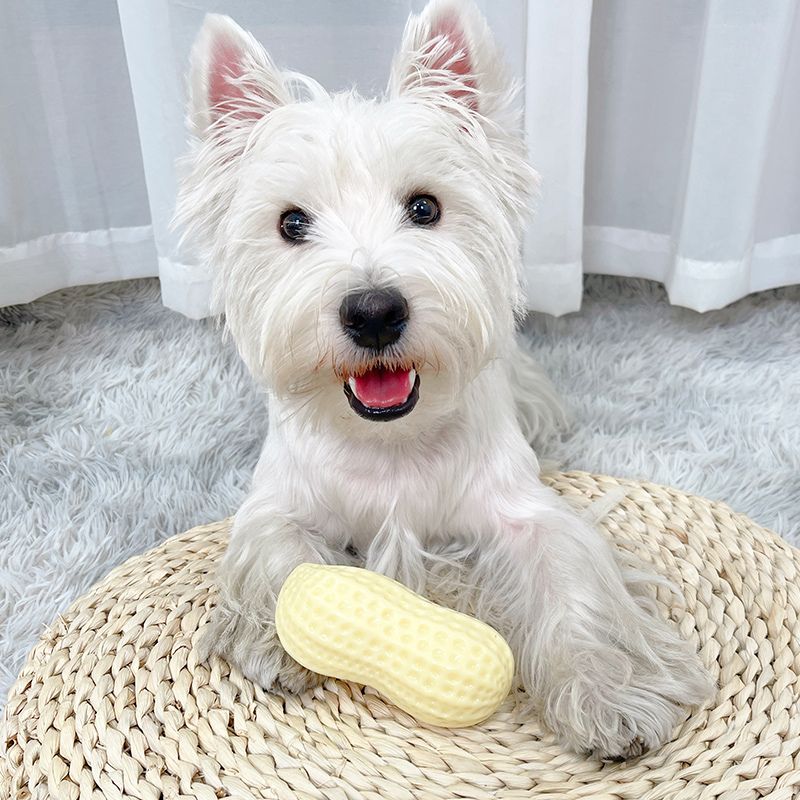 Squeaky Milk Scented Peanut Chew Toy