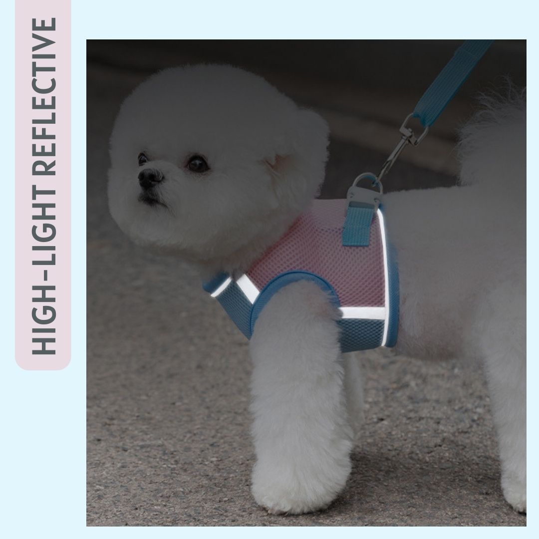 Anti-Slip Breathable Harness