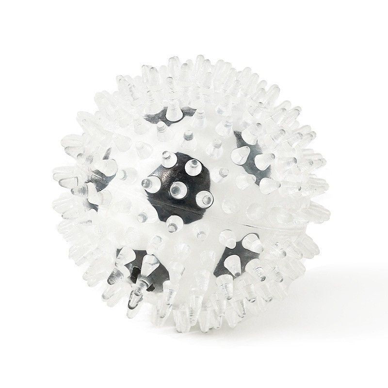 Long Lasting Spiky Chew Ball