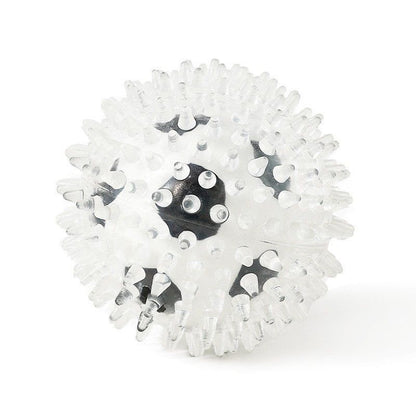 Long Lasting Spiky Chew Ball