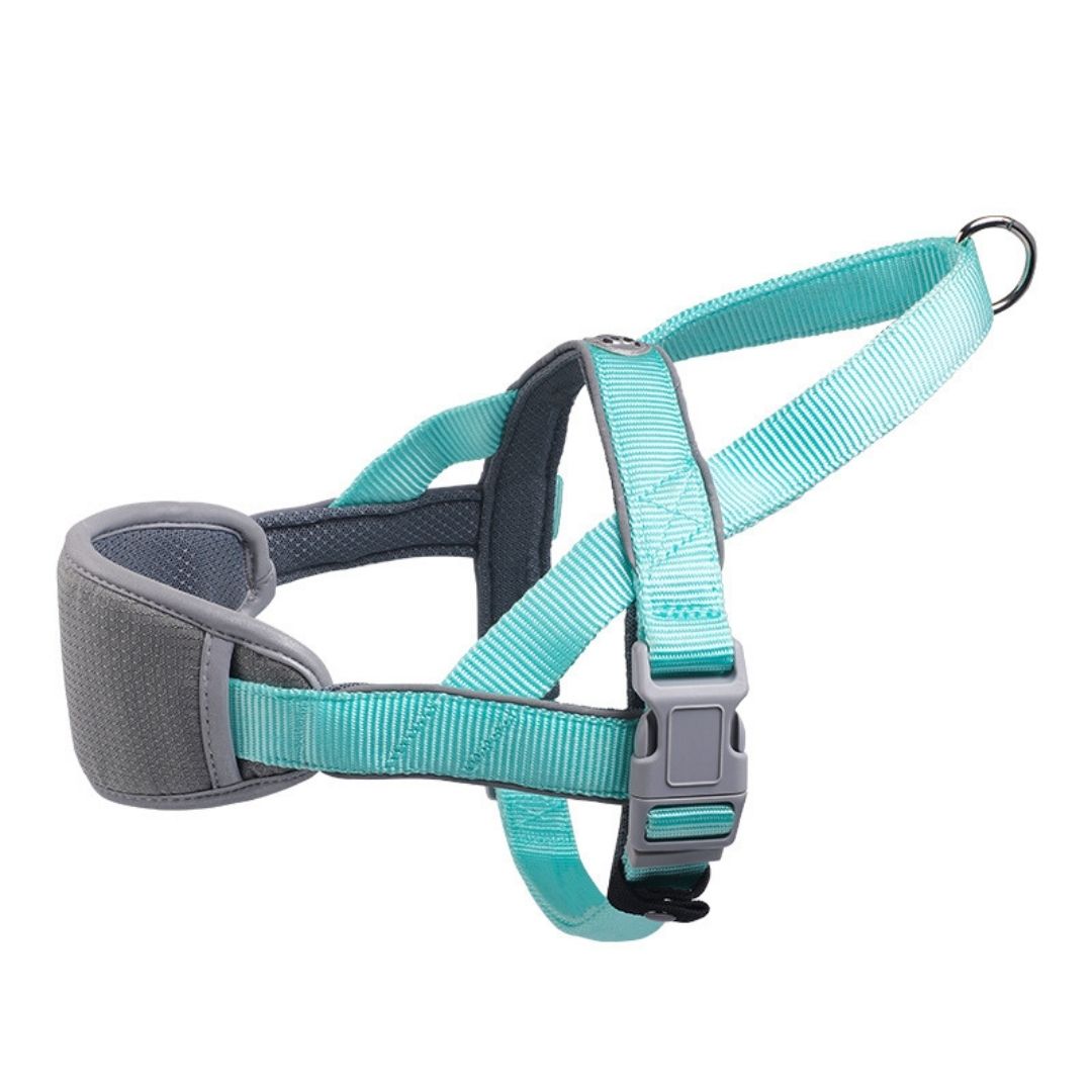 No-Pressure Adjustable Reflective Harness