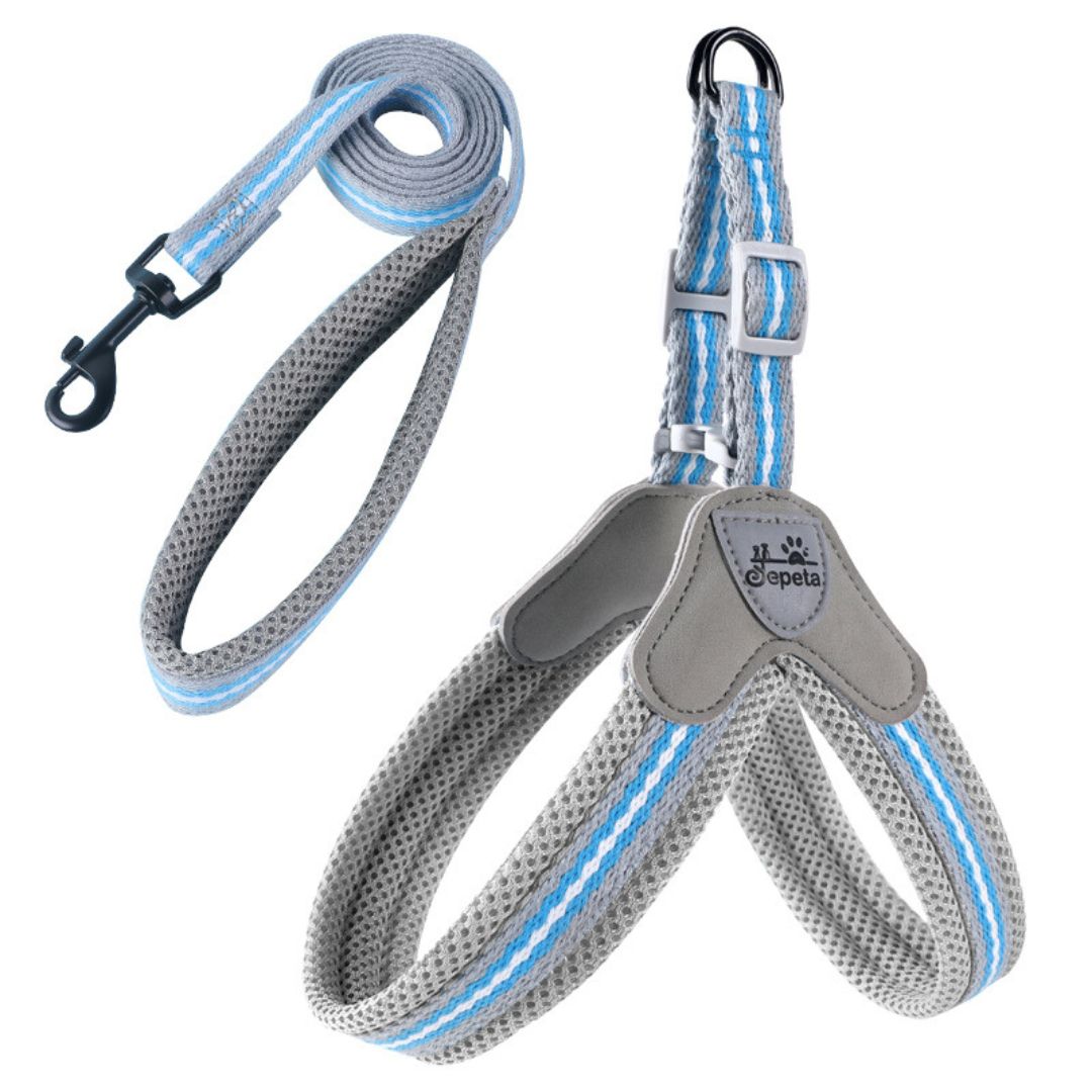 Y-Shaped Step-in Adjustable Harness