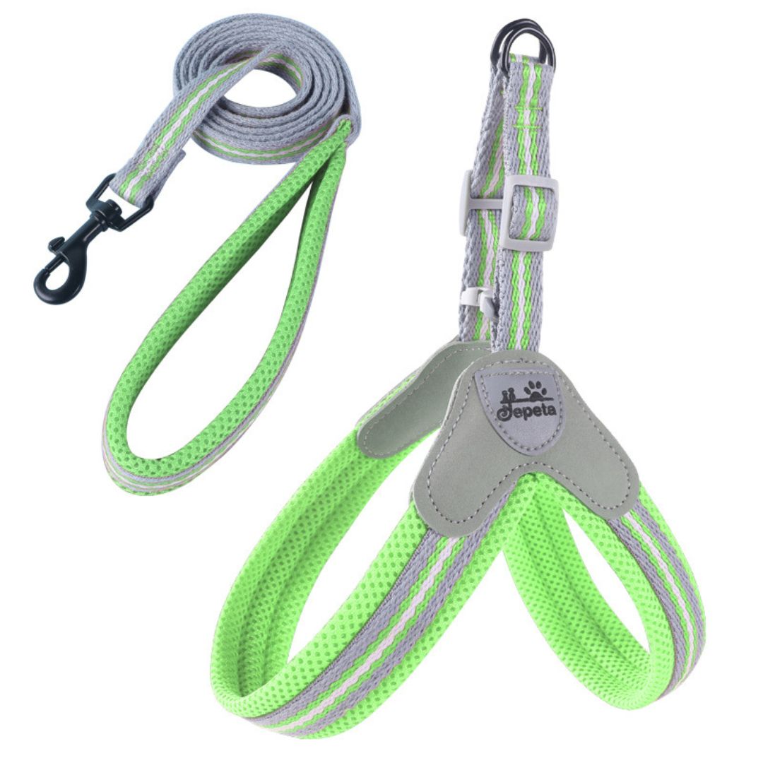 Y-Shaped Step-in Adjustable Harness