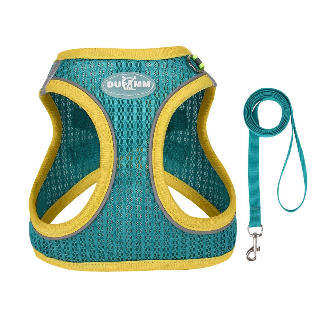 Ultra-Breathable Harness for Small Dog