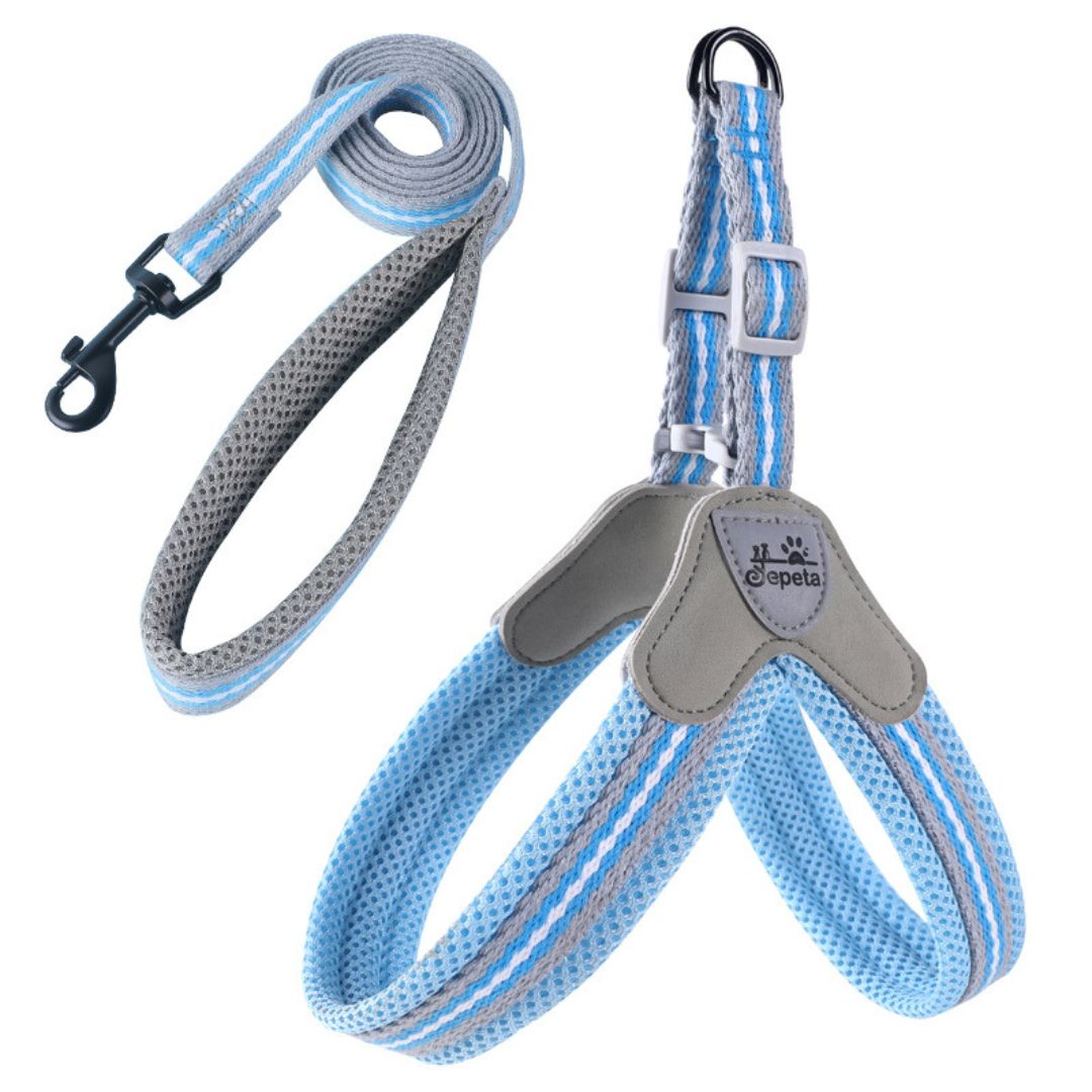 Y-Shaped Step-in Adjustable Harness