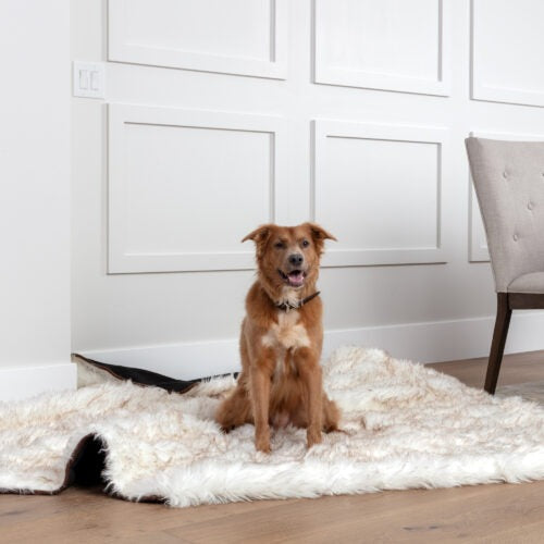 Pet Fur Dog Blanket Couch Protector