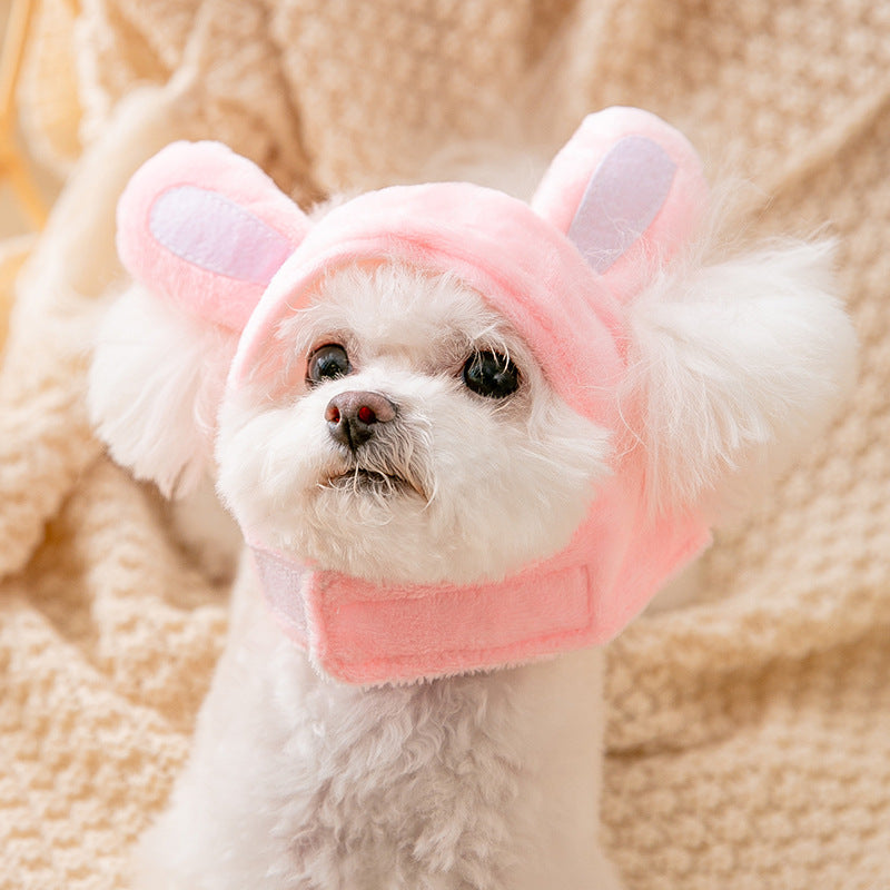 Cute Headwear for Puppies