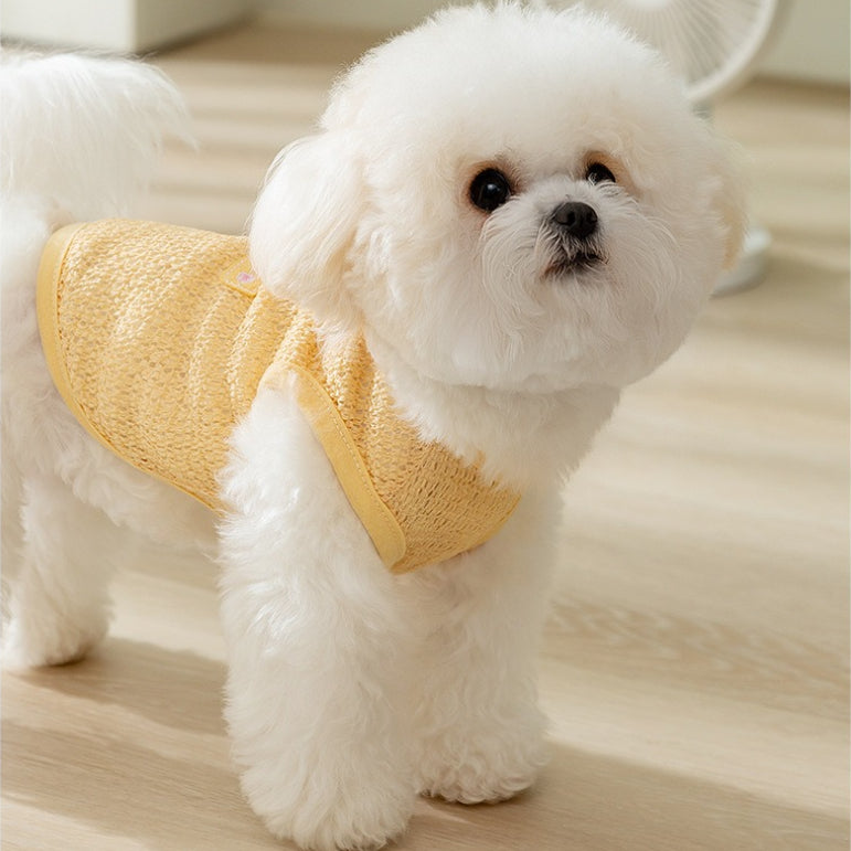 Cute Cartoon Summer Traction Vest Pet Clothes