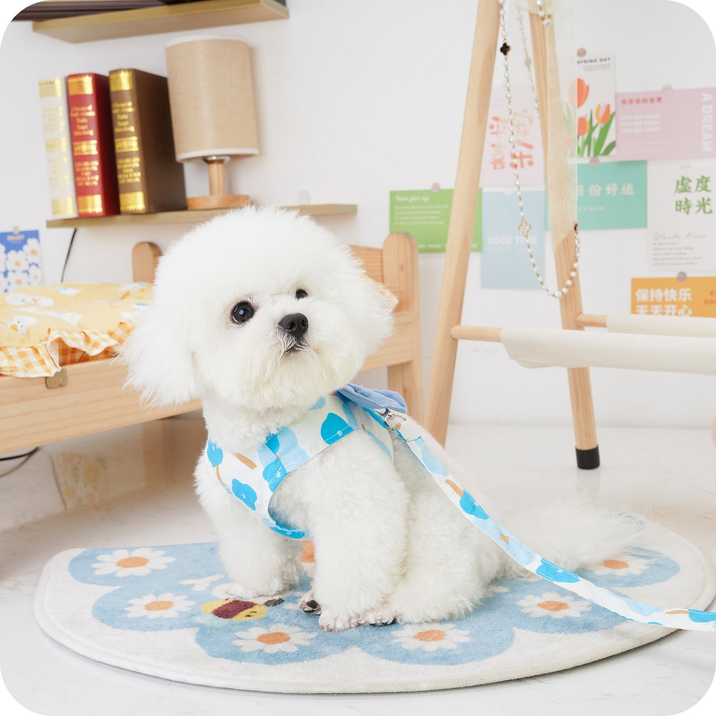 Sweet Dog Harness with Leash Set