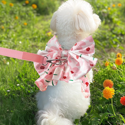 Cute Summer Dog Dress with Leash