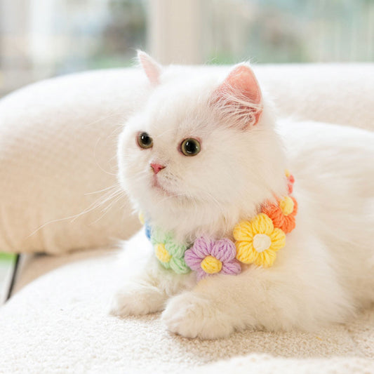 Cat Knitted Collar