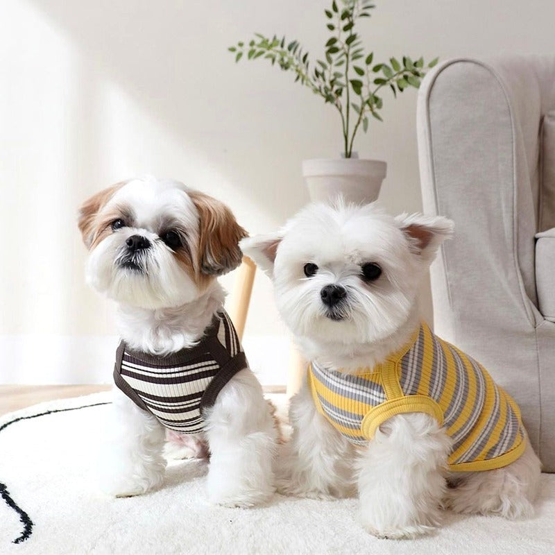 Striped Breathable Bear Knitted Pet Vest