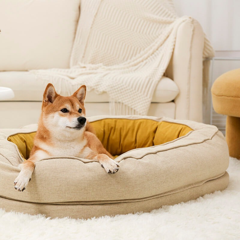 Removable Dog Bed