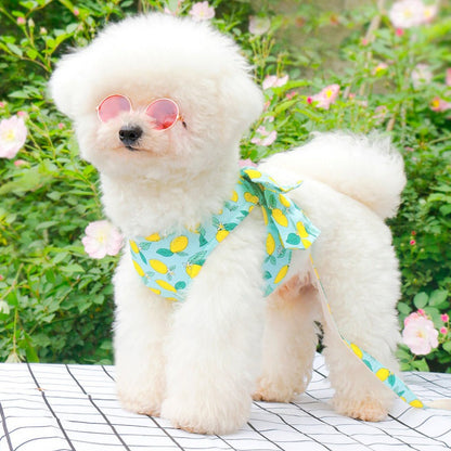 Dog Sunglasses with Strap