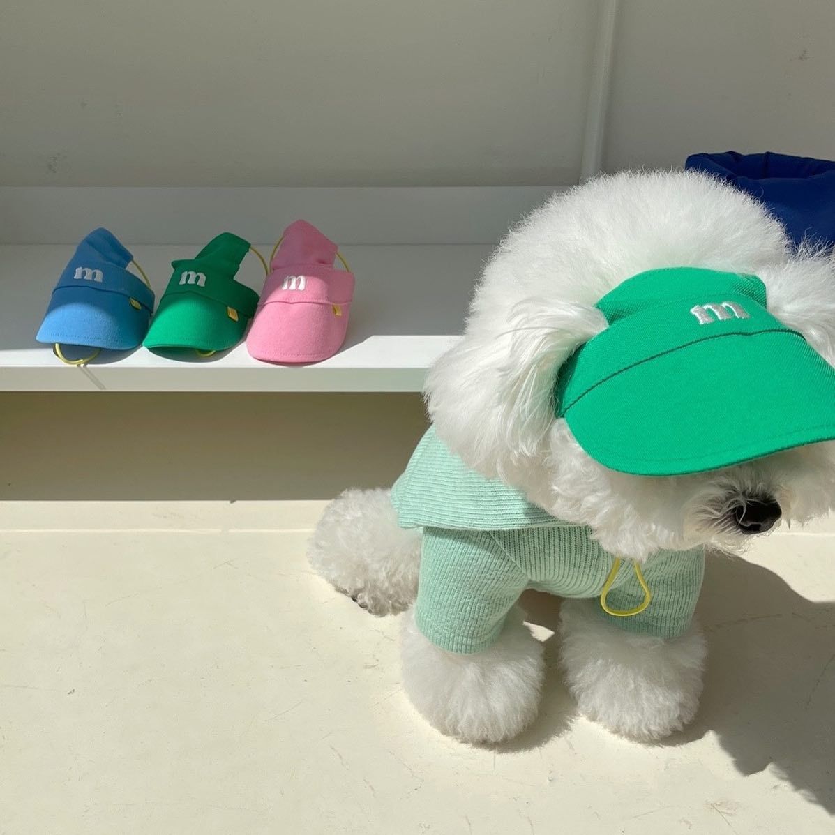 Dopamine Embroidered Lettering Pet Sun Hat