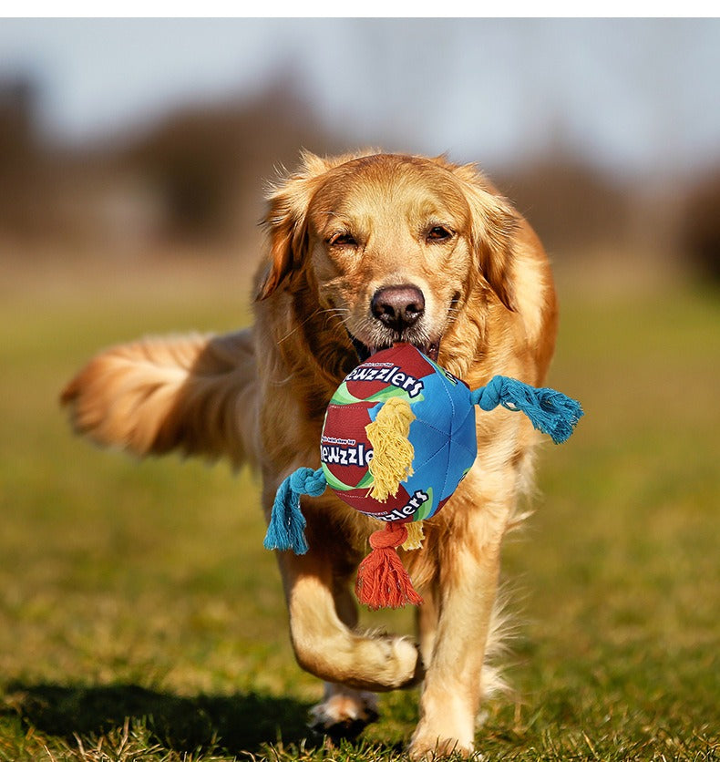 toys for dog