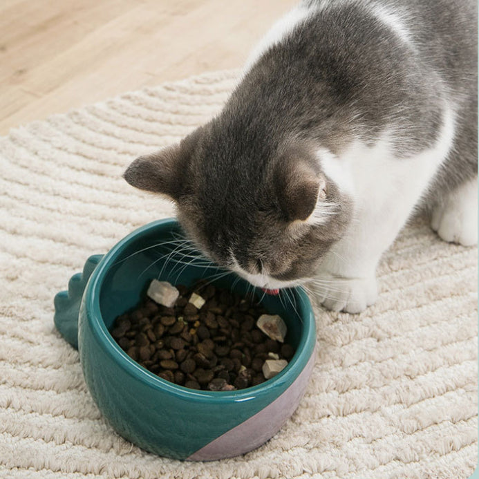 Cute Dinosaur Ceramic Cat Bowl