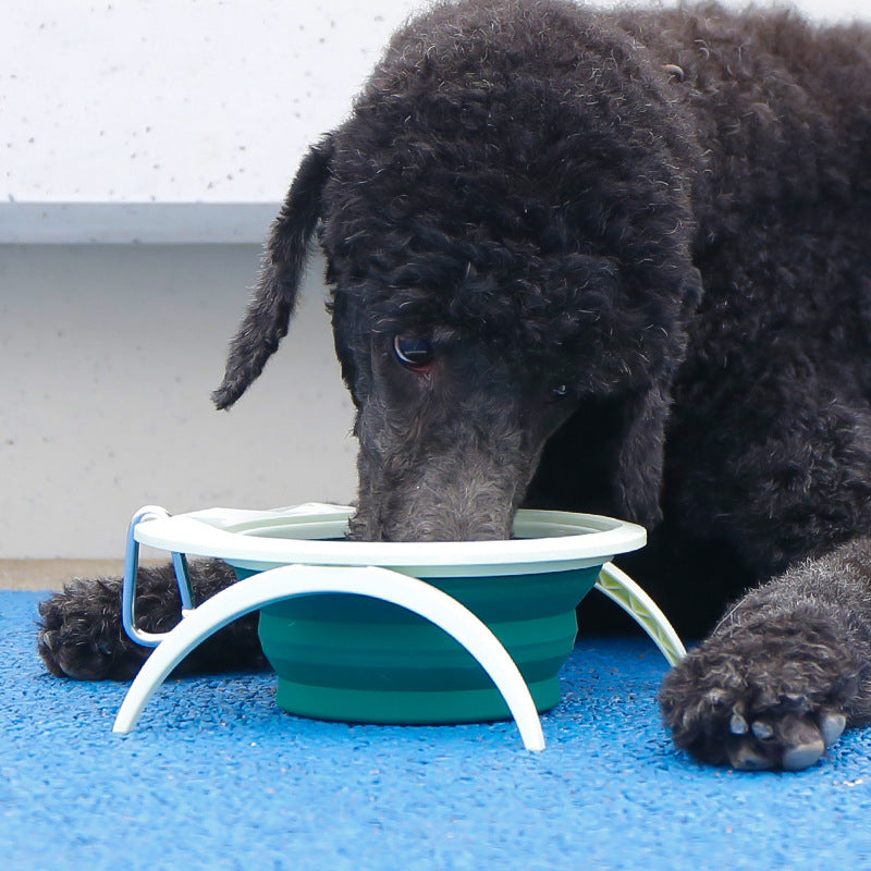 Outdoor Portable Pet Bowl