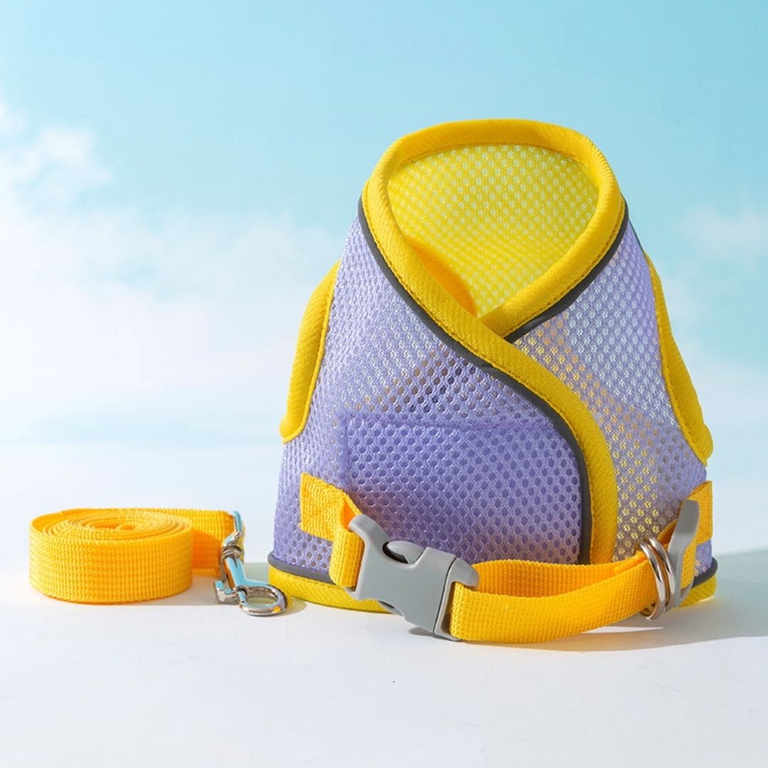 Anti-Slip Breathable Harness