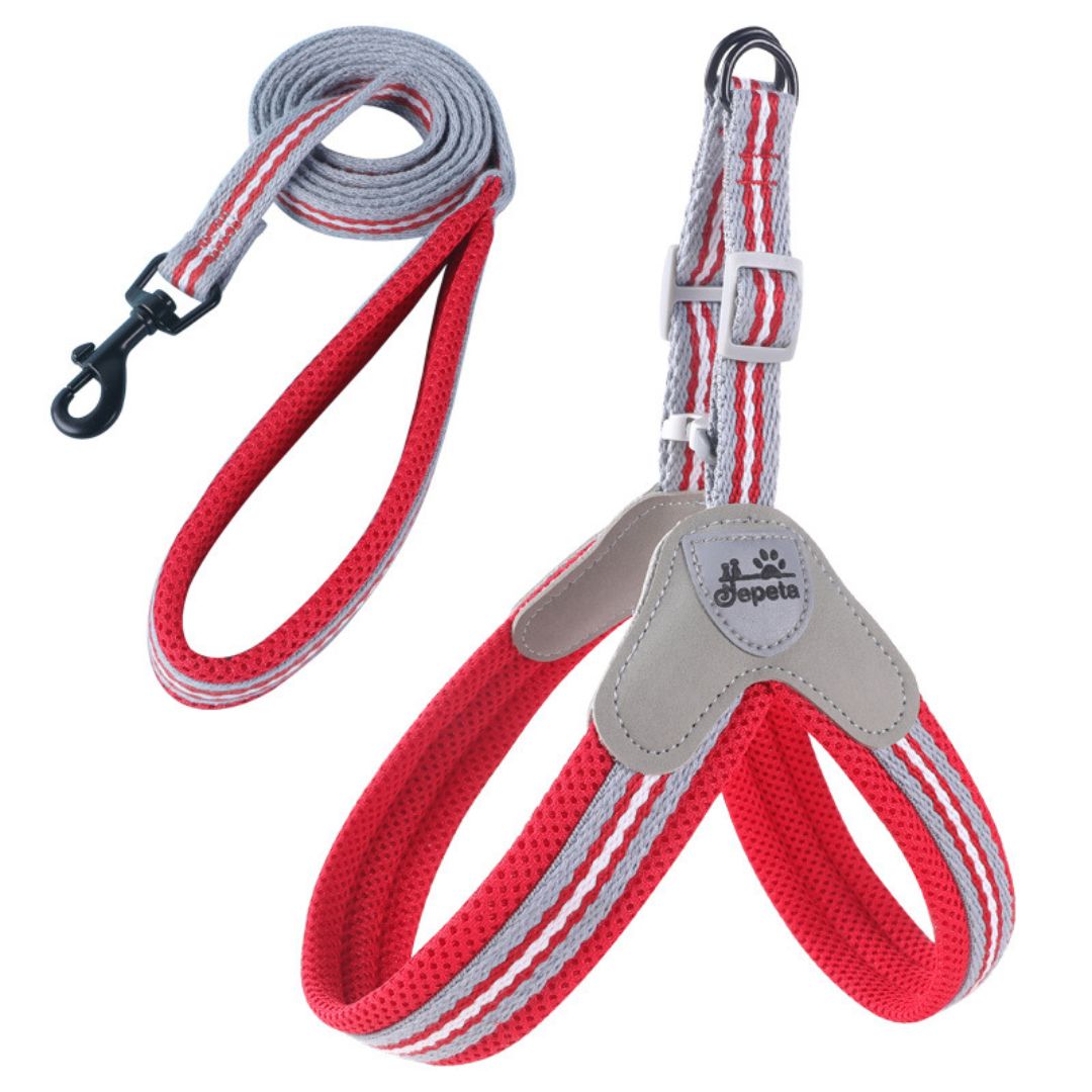 Y-Shaped Step-in Adjustable Harness