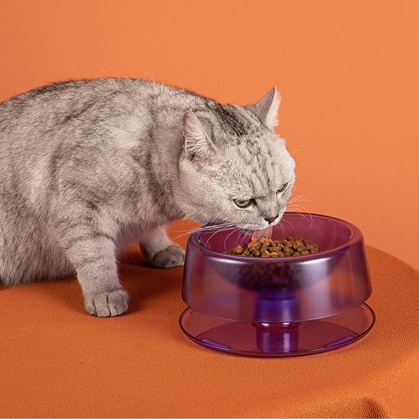 Adjustable Pet Food Bowl