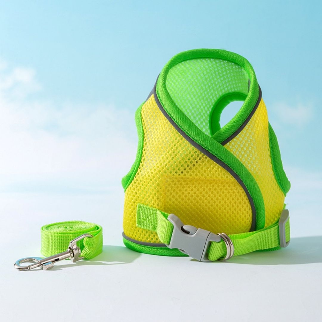 Anti-Slip Breathable Harness