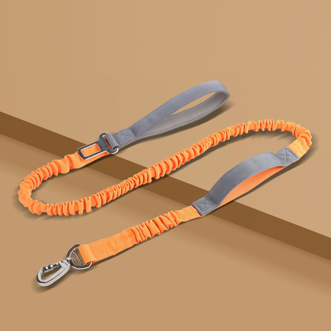 Elastic Durable Dog Leash