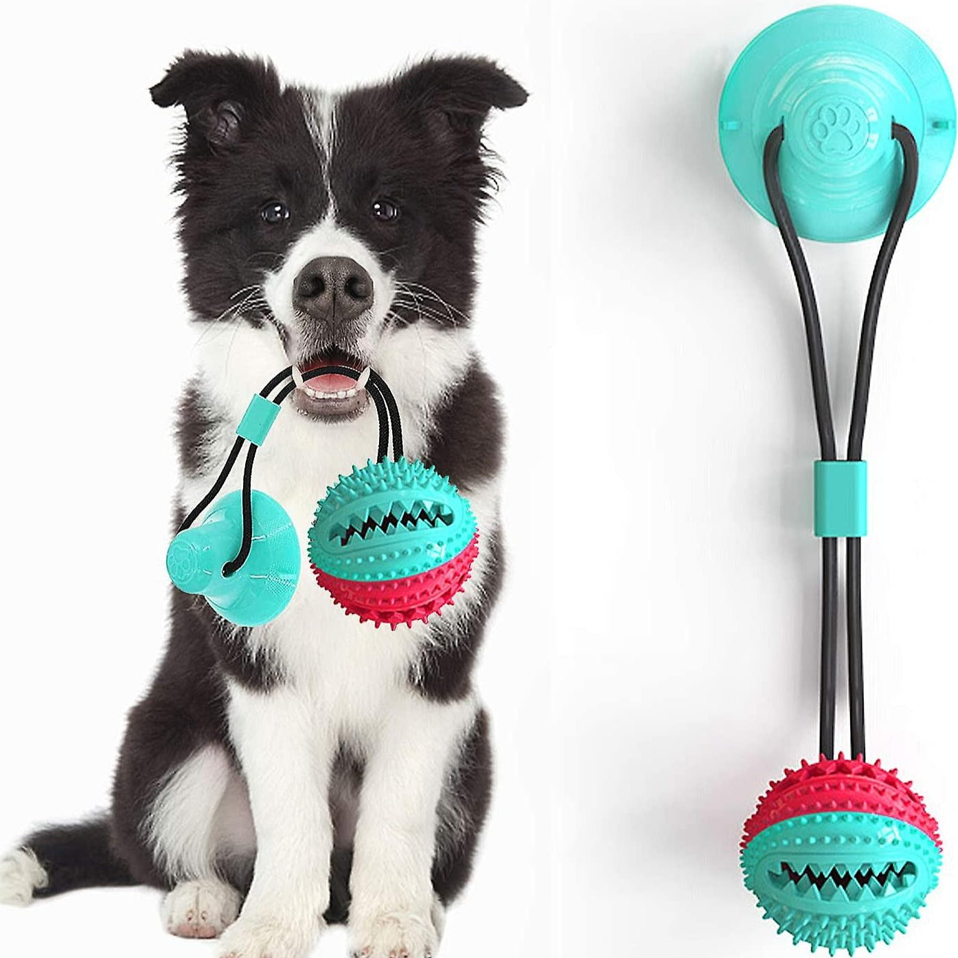 Suction Cup Dog Rope Chew Toy