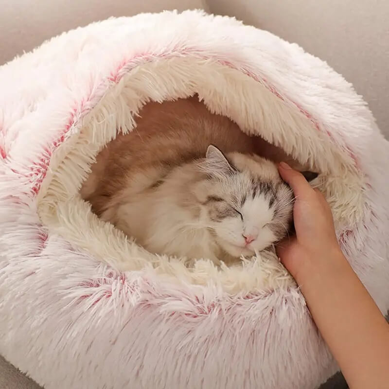 pink bed for cats