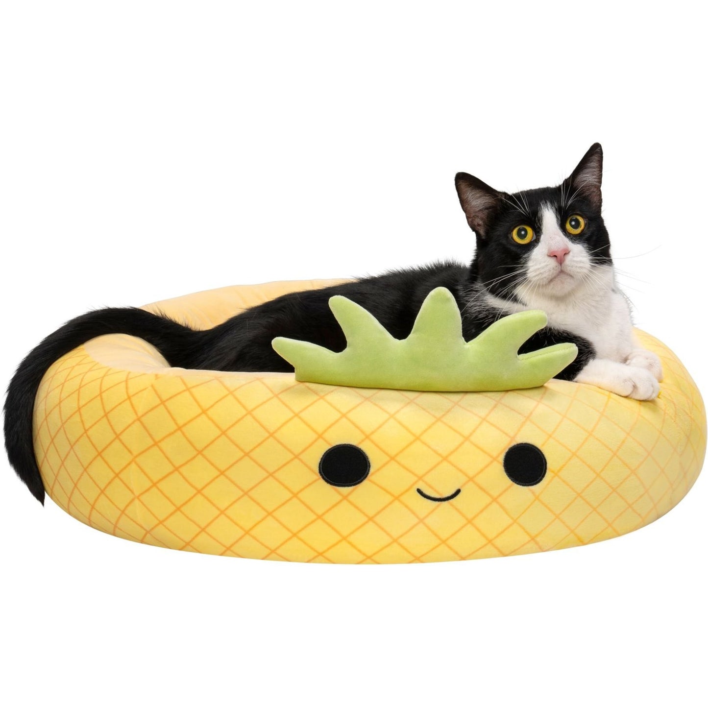 Pineapple Cat & Dog Bed