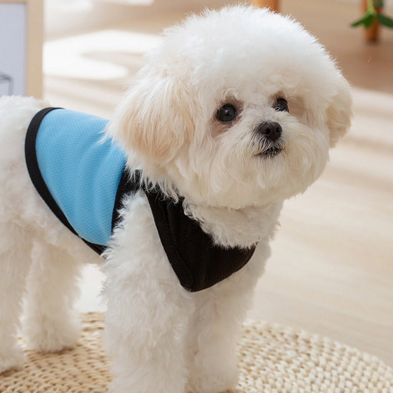 Breathable Summer Dog T-Shirt