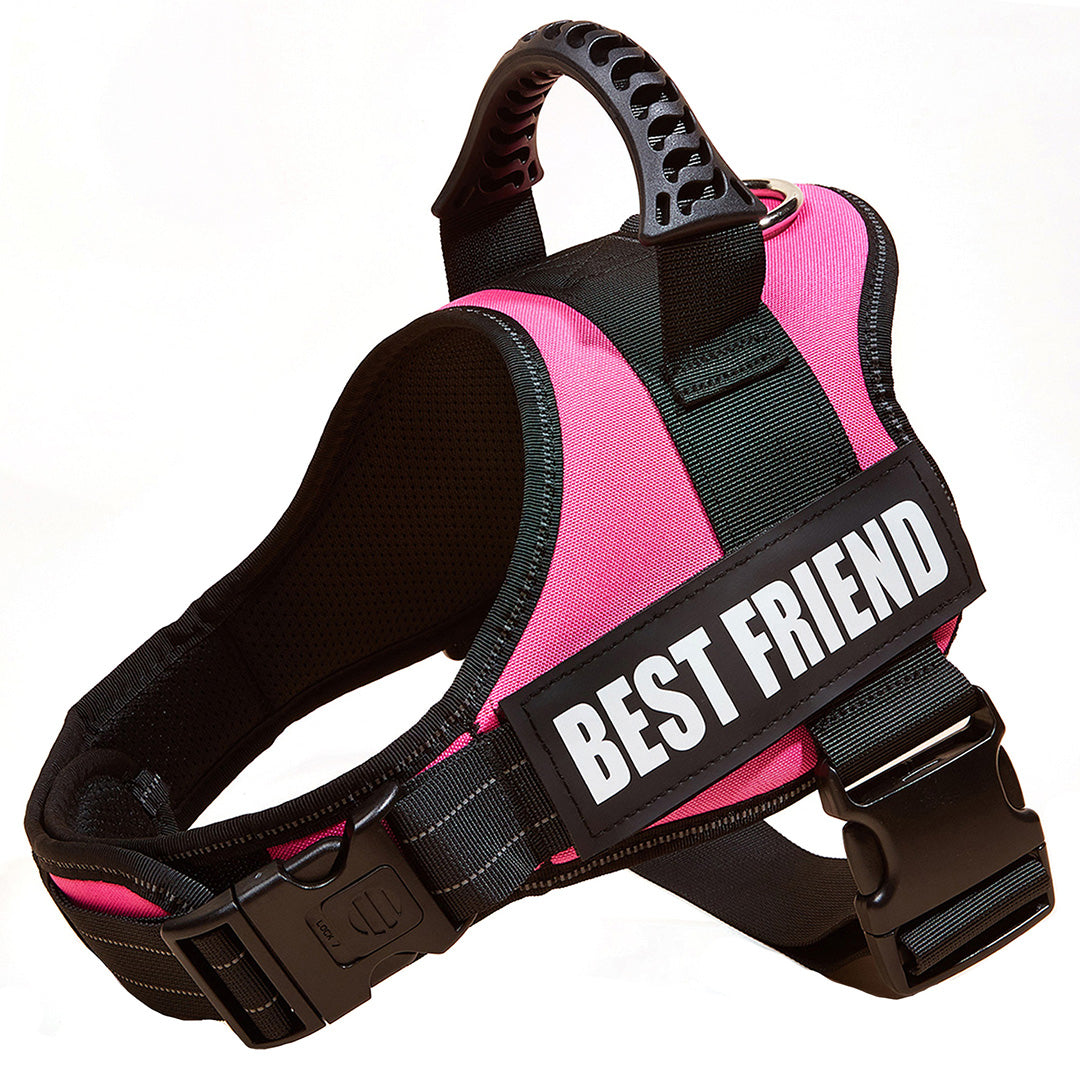 Adjustable Grip Harness with Velcro