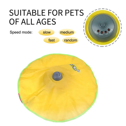 Moving Mouse Interactive Cat Toy