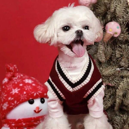 College V-neck Fashion Vest Pet Clothing