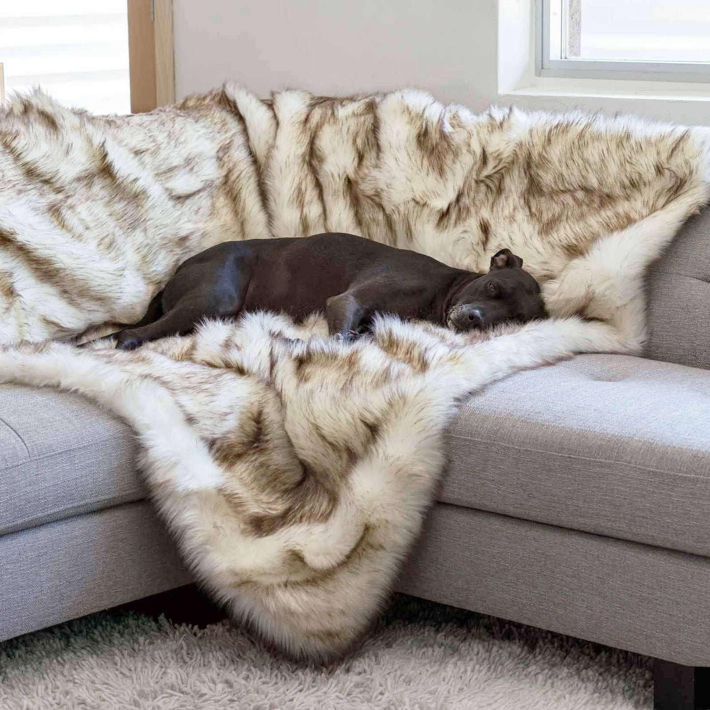 Pet Fur Dog Blanket Couch Protector